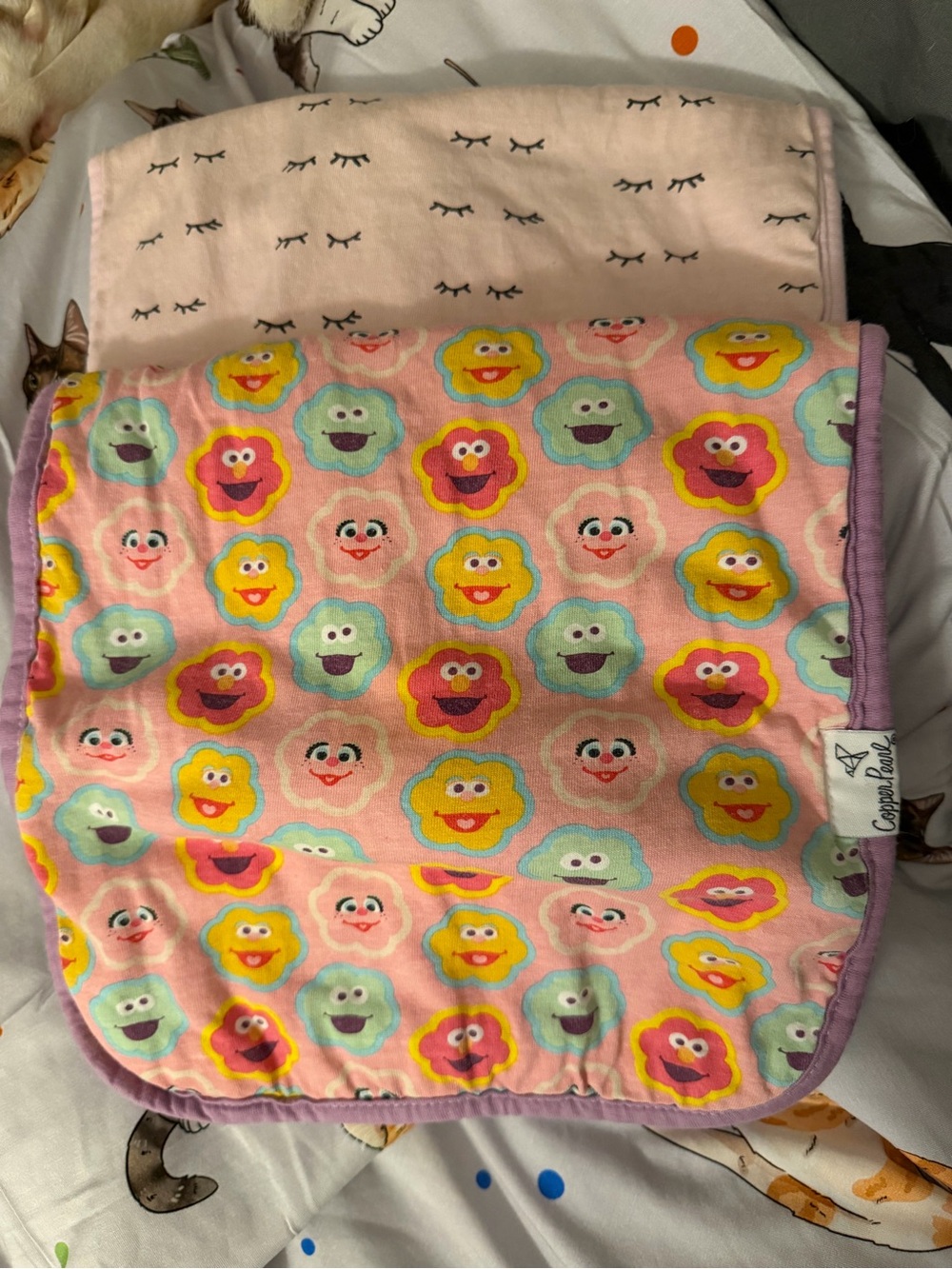 Copper Pearl Premium Burp Cloth Bundle of Two GUC